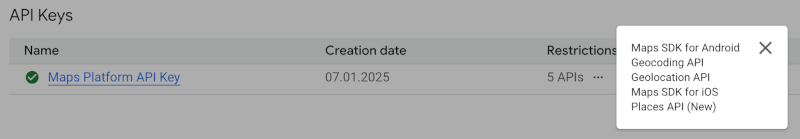 API Key Restrictions